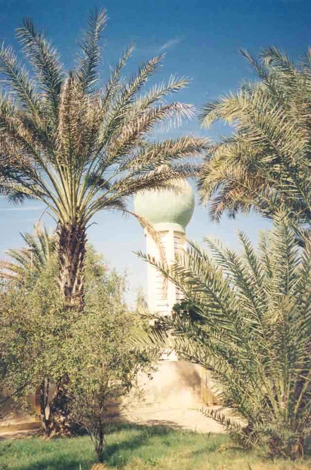 The City of Touba, picture 13