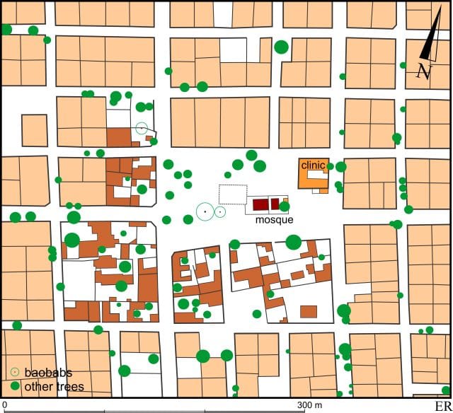 The City of Touba, picture 25