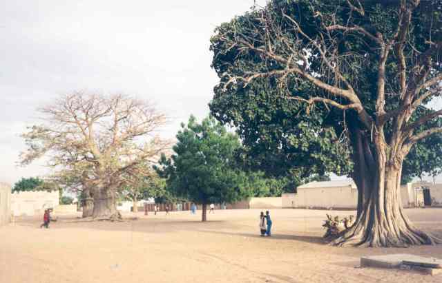 The City of Touba, picture 27