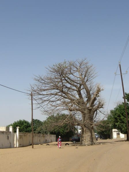 The City of Touba, picture 31