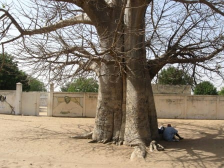 The City of Touba, picture 32